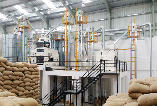 صدور یک فقره موافقت اولیه طرح بسته‌بندی حبوبات و غلات در لالی