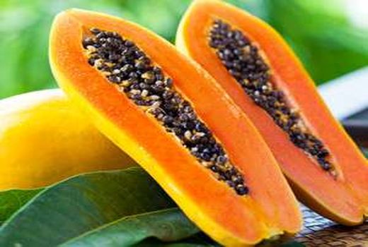 پاپایا محصولی با قابلیت تولید آسان و ارزآوری بالا