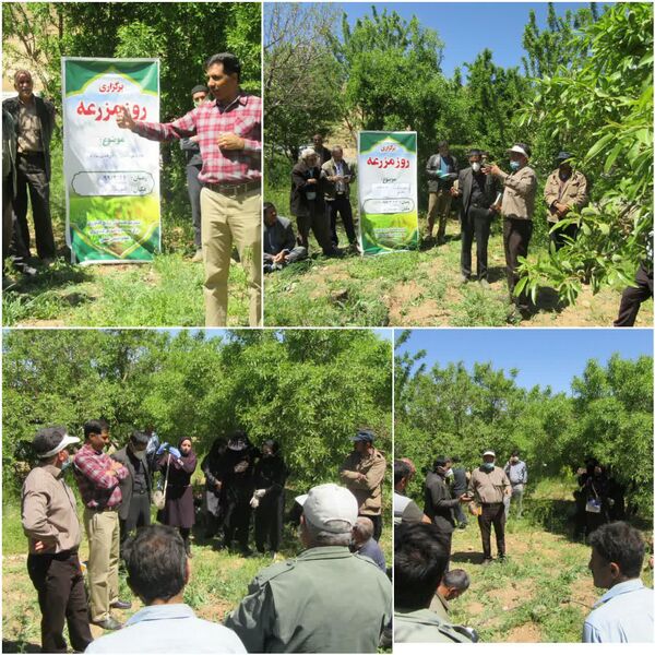 برگزاری کلاس روز مزرعه در شهر بن 