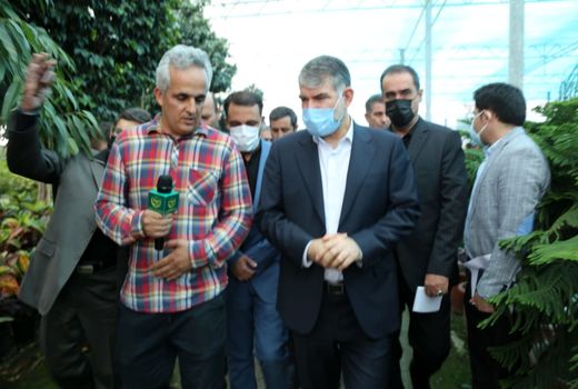 بازدید وزیر جهاد کشاورزی از گلخانه ای با تولید ۱۴۰گونه بن سای در شهرستان اسلامشهر