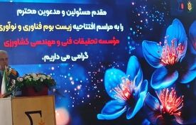 معیار موفقیت زیست‌بوم‌های نوآوری، اثرگذاری اقتصادی است نه تعداد شرکت‌ها