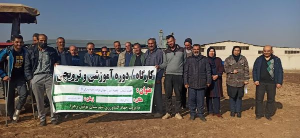 برگزاری کارگاه آموزشی کشت مستقیم نخود دیم در مزارع بوئین زهرا