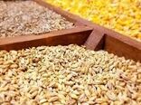نقش موثر شرکت‌های تعاون روستایی در توزیع نهاده‌های تولید بخش کشاورزی 