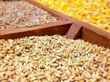 نقش موثر شرکت‌های تعاون روستایی در توزیع نهاده‌های تولید بخش کشاورزی 