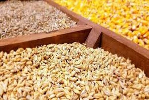 نقش موثر شرکت‌های تعاون روستایی در توزیع نهاده‌های تولید بخش کشاورزی 