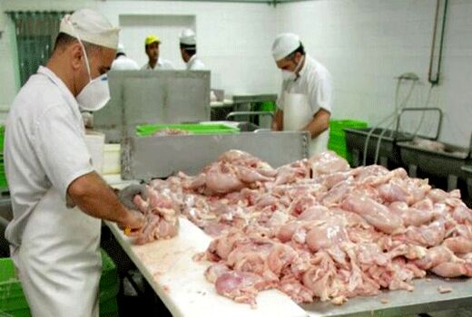 ممنوعیت قطعه بندی گوشت مرغ و ماهی در واحدهای صنفی