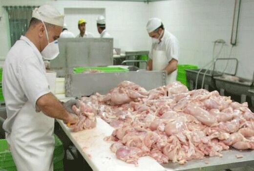 ممنوعیت قطعه بندی گوشت مرغ و ماهی در واحدهای صنفی