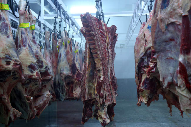 تور رسانه ای به مناسبت هفته دامپزشکی 