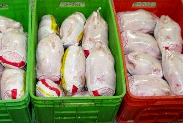 صدور مجوز خرید تضمینی 500 تن گوشت مرغ منجمد مازاد واحدهای تولیدی در آذربایجان غربی 