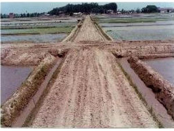 25 هکتار از شالیزارهای گلوگاه تجهیز و نوسازی می‌شود