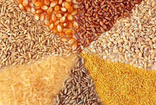 مکانیزم دریافت نهاده به تولیدکنندگان به خوبی اطلاع‌رسانی شود