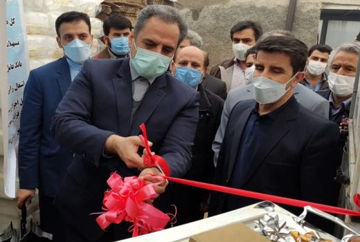 افتتاح گلخانه ۵ هزار متر مربعی در شهرستان کرمانشاه توسط وزیر جهاد کشاورزی 
