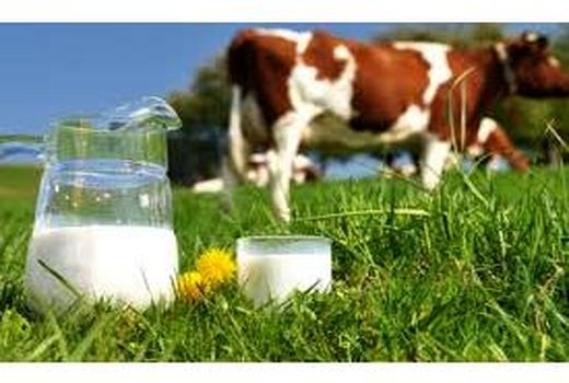 تولید 21 هزار تن شیر خام در بابل به ارزش 635 میلیارد