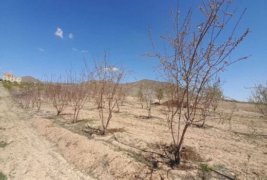 باغبانی حفاظتی؛ کلید پایداری در باغداری آینده