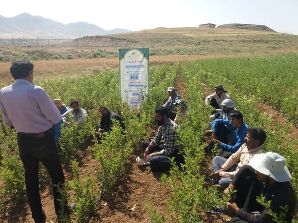 برگزاری چهارمین مرحله آموزش باغداران طرح بزرگ سودجان