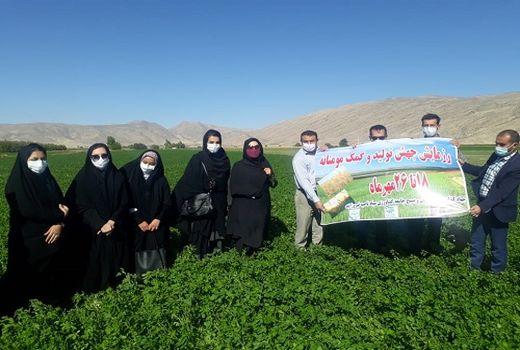 بسیج همگام با کشاورز در فیروزآباد اجرایی شد 