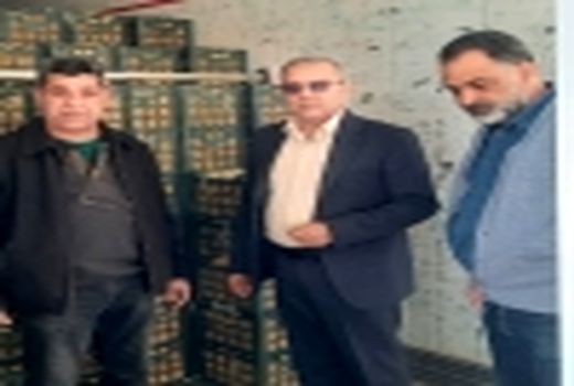 رنگین شدن سردخانه های تعاون روستایی خوزستان با میوه شب عید