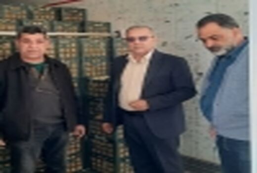 رنگین شدن سردخانه های تعاون روستایی خوزستان با میوه شب عید