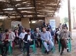 سرخرطومی حنایی در کمین نخلستان های کرمان