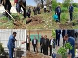 مشارکت مدیران استانی بانک کشاورزی در پویش «غرس نهال امید»