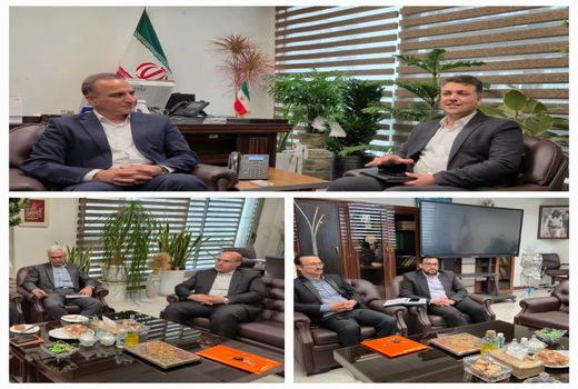 هم‌افزایی زراعت و اتاق اصناف کشاورزی برای امنیت غذایی پایدار / اتاق اصناف کشاورزی برای اجرای الگوی کشت پیش‌قدم شد