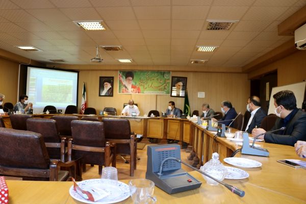  155هزار تن گندم با عملکرد چهارو نیم تن در هکتار تولید می شود