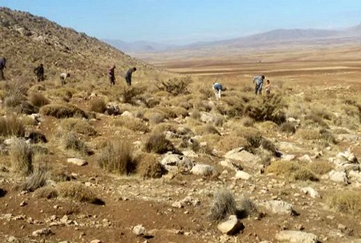 مشارکت مردم در حفظ عرصه‌های طبیعی ضروری است