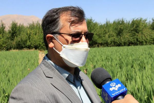 خشکسالی 3 هزار میلیارد تومان به بخش کشاورزی خسارت وارد کرد