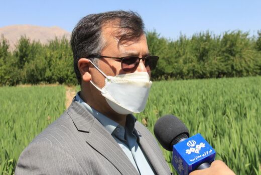 خشکسالی 3 هزار میلیارد تومان به بخش کشاورزی خسارت وارد کرد 