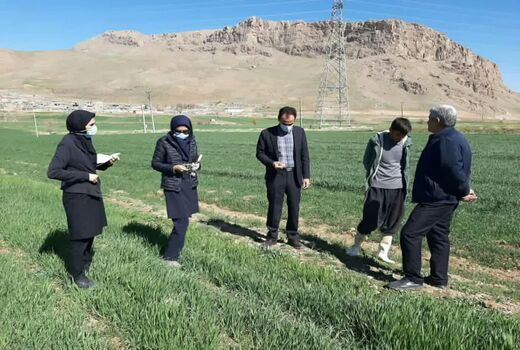 بازدیدازباغات و مزارع شهرستان فارسان جهت براورد خسارت سرمازدگی