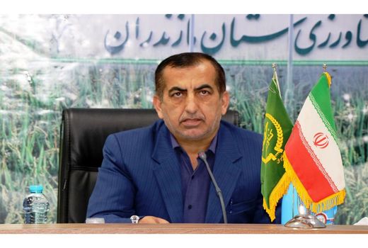 تولید محصولات کشاورزی خط قرمز جهاد کشاورزی است/ خوداتکایی در تولید برنج با حمایت از ارقام پرمحصول