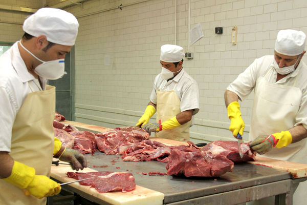 بهبود تولید مواد پروتئینی در خراسان رضوی