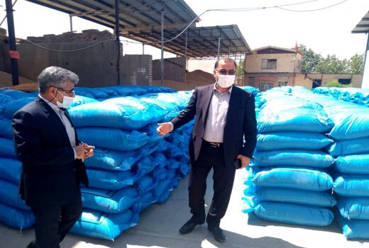 تولید ۲۶ هزار تن بذر گندم آبی و دیم در استان لرستان