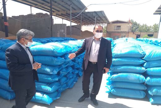تولید ۲۶ هزار تن بذر گندم آبی و دیم در استان لرستان