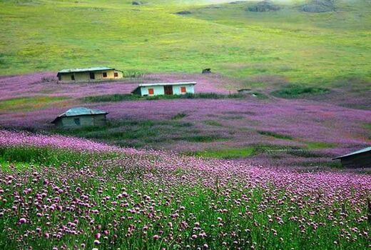 هشدار به مسافران نوروزی: با مراتع مهربان باشیم!