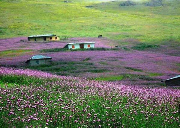 هشدار به مسافران نوروزی: با مراتع مهربان باشیم!
