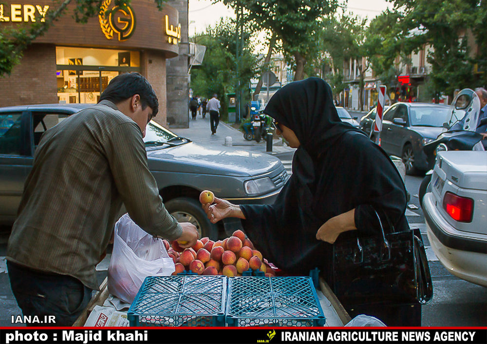 نوبرانه‌های رنگی