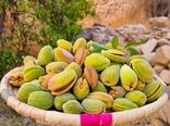 پیش‌بینی تولید ۳٠ هزار تن بادام در چهارمحال و بختیاری