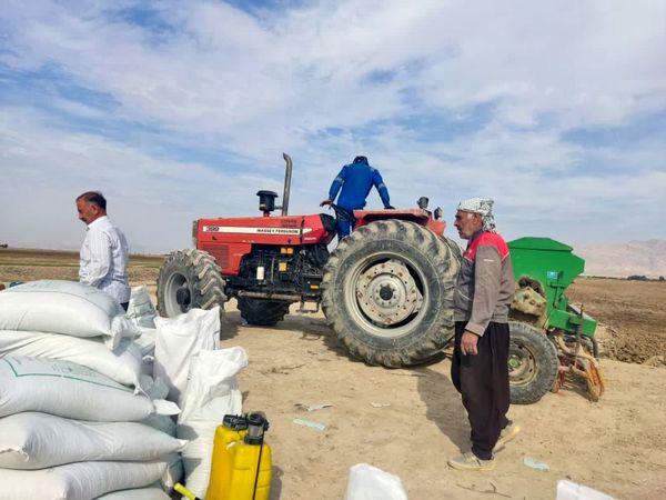 ۲۰ هکتار از اراضی این شهرستان چرداول به کشت گلرنگ اختصاص یافت