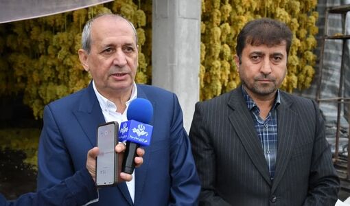 بناب، هاب صادراتی کشمش کشور؛ تولید ۳۴۰ هزار تن انگور در آذربایجان شرقی