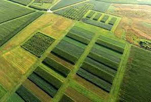 اجرای طرح تغییر الگوی کشت در ۱۳۰ هزارهکتار از اراضی زراعی چهارمحال وبختیاری 