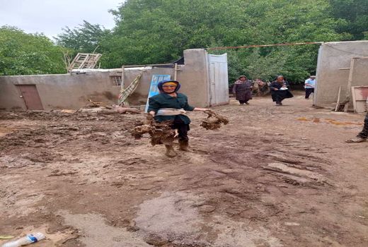 خسارت سیلاب  به زیربخش‌های کشاورزی و دامپروری بافت