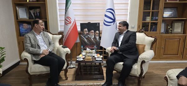 کشت آزمایشی شقایق اُلی‌فرا با موفقیت انجام شد؛ گام ایران برای تأمین سالانه ۳۰ تن مورفین مورد نیاز دارویی