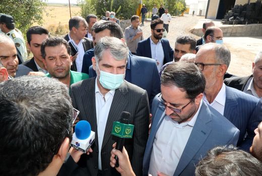 شیوه نامه صادرات دام زنده شنبه ابلاغ می‌شود