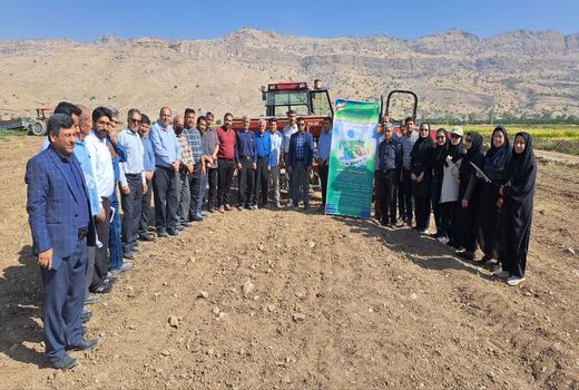 اجرای 181 برنامه ترویجی کشاورزی در پهنه‌های تولیدی فارس