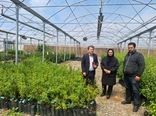 توسعه مراکز کشت‌بافت دانش‌بنیان در آذربایجان شرقی سرعت گرفت
