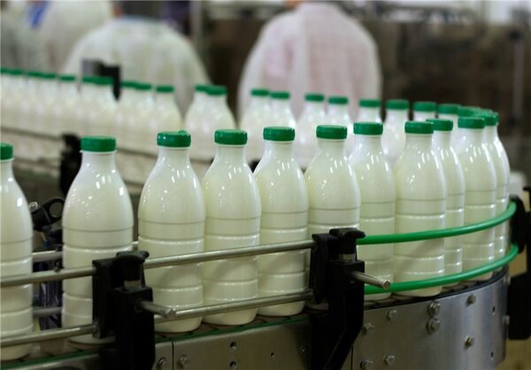 تخلف خرید شیرخام بالاتر از  2 هزارتومان 