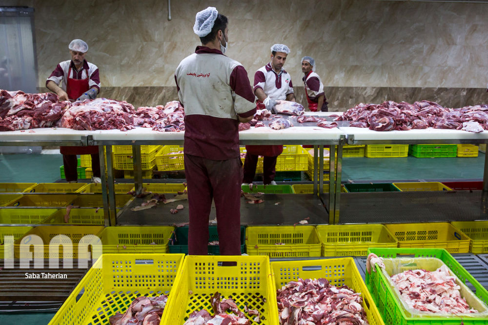 بسته‌بندی محصولات پروتئینی