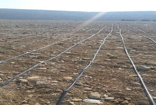 تشکیل ستاد سامانه‌های نوین آبیاری در استان کردستان
