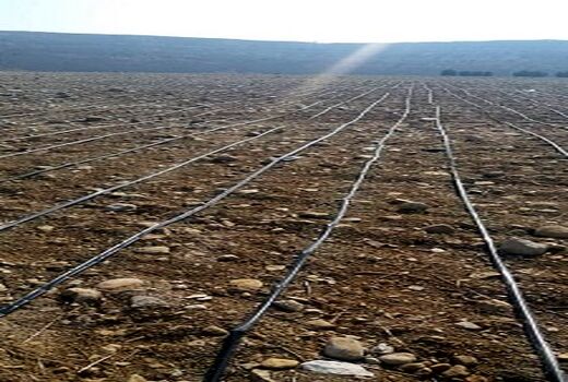 تشکیل ستاد سامانه‌های نوین آبیاری در استان کردستان